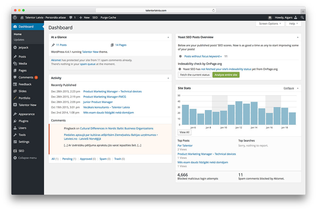 WordPress Dashboard.